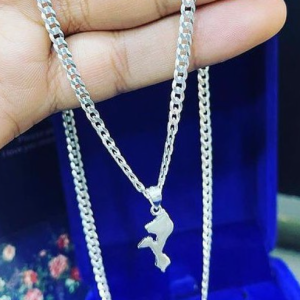 Fred Wisdney Ruco _PRATA