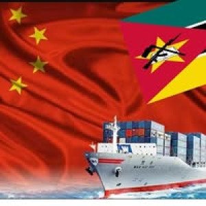 Junior Sergio bussiness