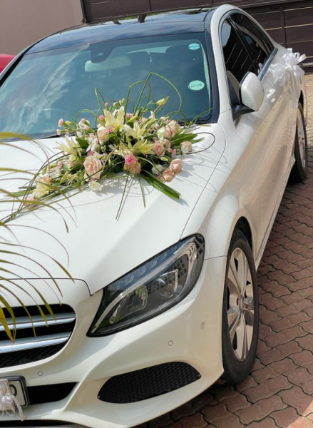 Aluguer de viaturas com e sem motorista