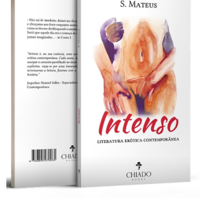 Intenso Preço- kz 10.990,00