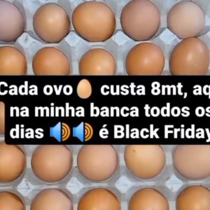 Ovos bem frescos diretamente da capoeira *8mt cada ovo