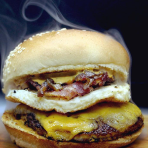 SERVIÇOS DE ALIMENTAÇÃO _ HAMBURGUERS