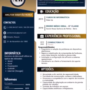 Criamos Currículos modernos e profissionais