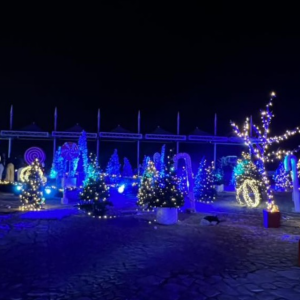 iliminacao decorativa.