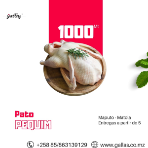 SERVIÇOS DE ALIMENTAÇÃO _ Pato Inteiro 1000Mt