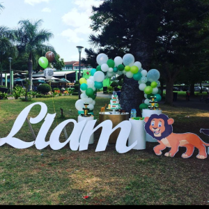 SERVIÇOS DE DECORAÇÃO