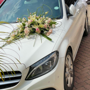 Aluguer de viaturas com e sem motorista