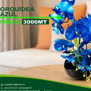 Orquídeas artificiais Disponíveis para entrega imediata!