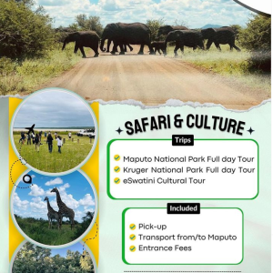 Looking for Experienced Tour Guides for an Unforgettable Journey in Maputo and beyond? Look no further, we've got you covered