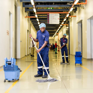 SERVIÇOS DE LIMPEZA