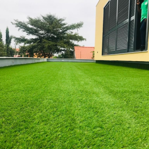 Relva paisagística verde marron AOA 9.000,00 A venda é feita por metro quadrado.