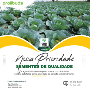 SERVIÇOS DE ALIMENTAÇÃO