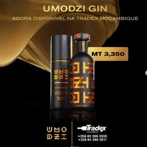 Umodzi Gin em Moçambique 🥃
