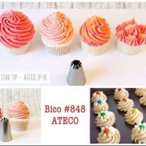 Bico 848 250,00 MZN