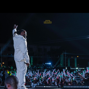 ORGANIZAÇÃO DE EVENTOS