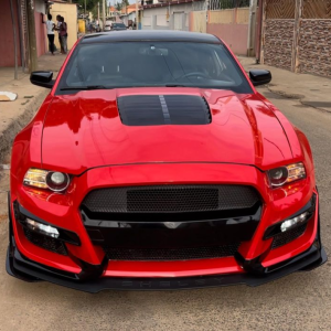 SERVIÇOS DE PINTURA