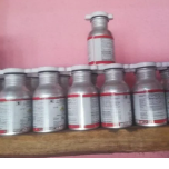 Mutuáli, Nampula, Mozambique Temos sementes de diversas hortícola