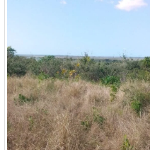 Terrenos localizados em bobole bairro matxova