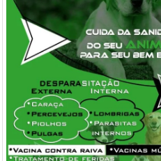 SAÚDE ANIMAL