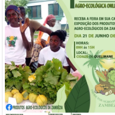 Cartaz publicitário-agroecologia
