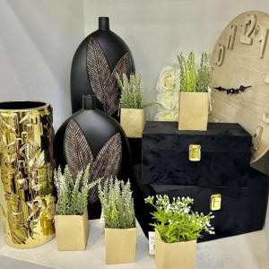 SERVIÇOS DE DECORAÇÃO