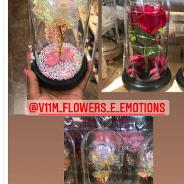 CÚPULAS DISPONÍVEIS variam de 20,25, 35,45.000kz