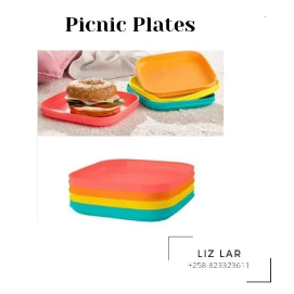 Picnic Plates