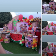 ORGANIÇÃO DE EVENTOS