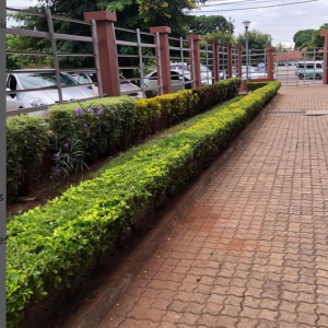 Prestadora de serviços de jardinagem e Paisagismo