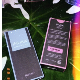 Perfumes MZN 1.300,00 Nova fragrância