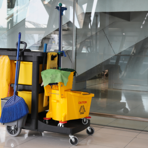 SERVIÇOS DE LIMPEZA