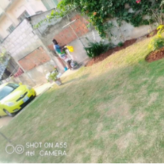 Jardinagem & Electrecidade