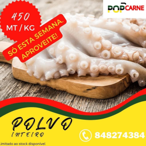 POLVO