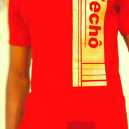 Fechô-Lps MZN 700,00 Camisetes