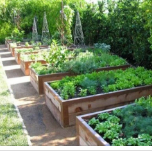 Alimentos frescos sazonais de origem local cultivados ecologicamente