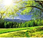 Zeza Malauene Photography