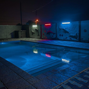 ORGANIZAÇÃO DE FESTAS E EVENTOS