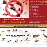CONTROL DE PRAGAS