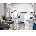 SERVIÇOS DE LIMPEZA