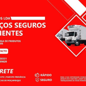 Serviços seguros e eficientes 🙏transporte de produtos frescos e congelados