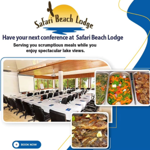 SERVIÇOS DE ACOMODAÇÃO