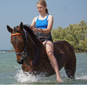 Agência de turismo Come and share in the epic adventures of Mozambique Horse Safari where the legends of our rescued horses come to life.