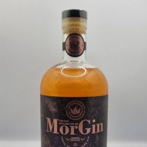 GIN DA MORGIN DISPONÍVEIS PARA ENTREGA EM MAPUTO. CONTACTE-NOS E FAÇA A SUA ENCOMENDA.