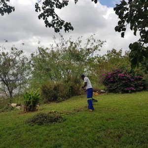 SERVIÇOS DE LIMPEZA