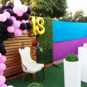 ORGANIZAÇÃO DE EVENTOS