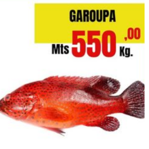 GAROUPA