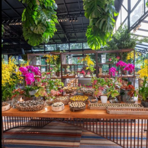 ORGANIZAÇÃO DE EVENTOS